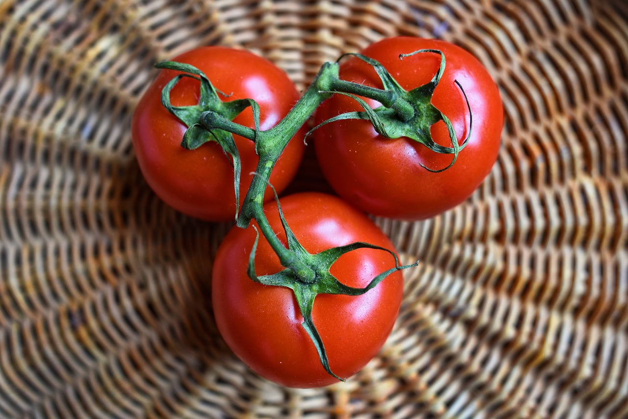 The ultimate guide to growing tomatoes