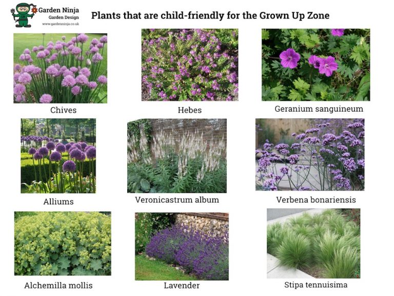 Child-Friendly Garden Design Guide - Garden Ninja: Lee Burkhill Garden ...