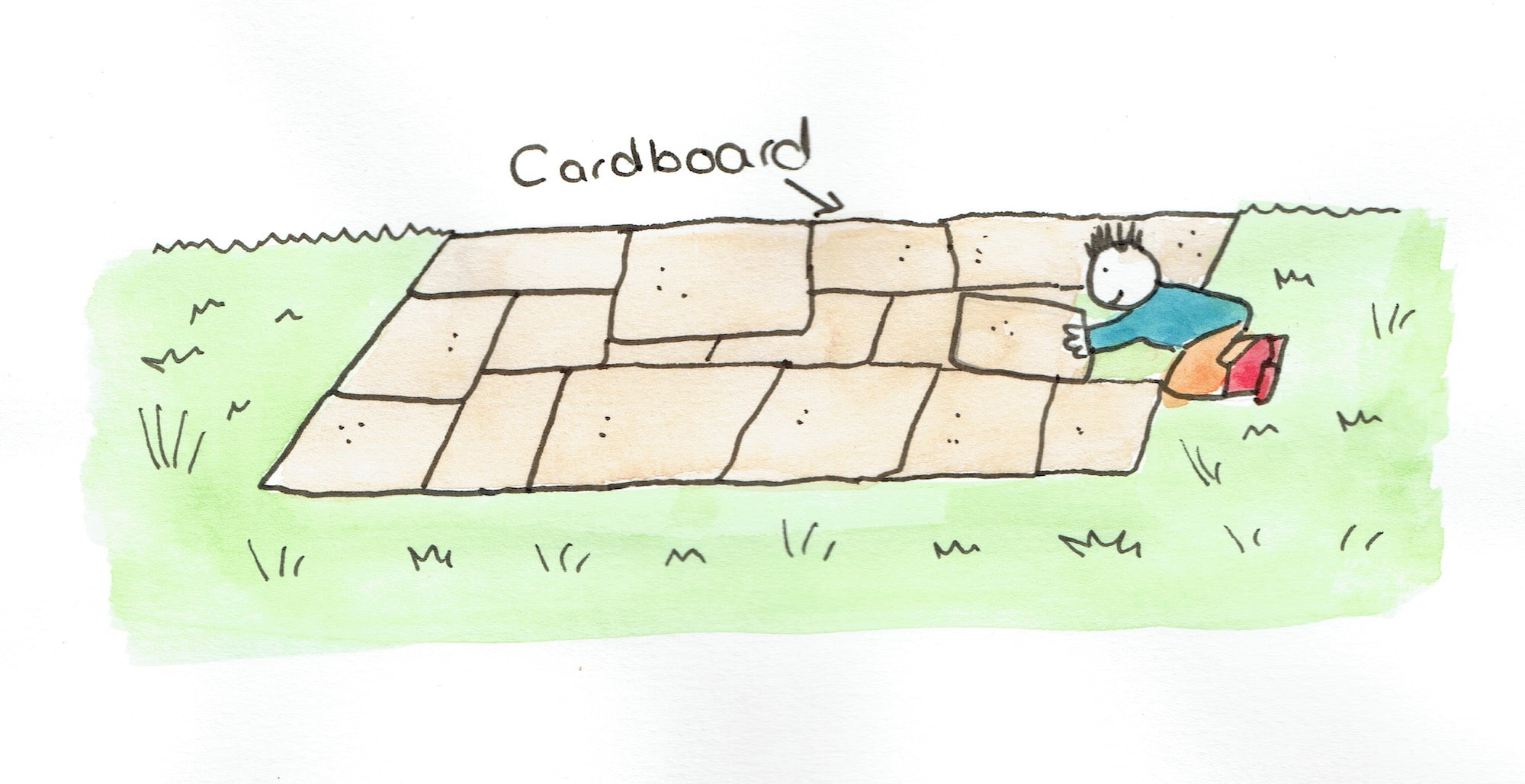 No-Dig Gardening for Beginners: Step-by-Step Guide with Cardboard and  Compost 