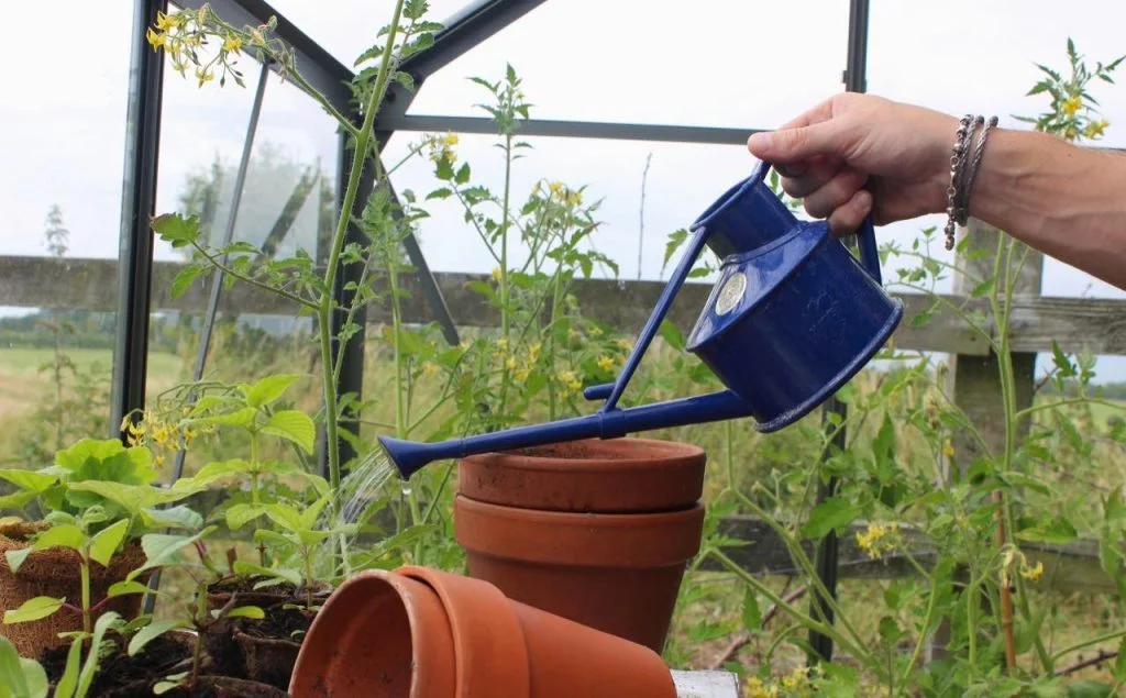 Ten Water Saving Tips for Your Garden - The Micro Gardener