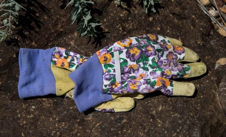 Gardening Gloves Reviewed: The Best Gloves For Your Hands - Garden ...