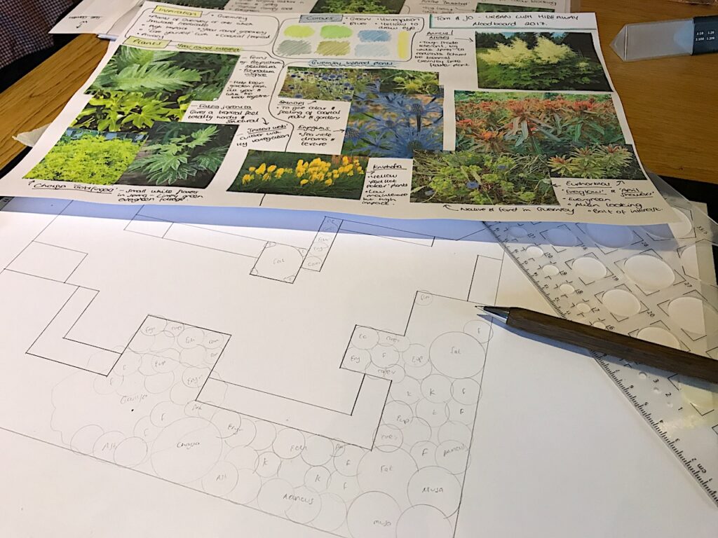 Using a template to draw up plants