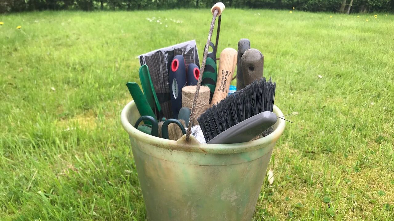 A garden bucking for rose prunings