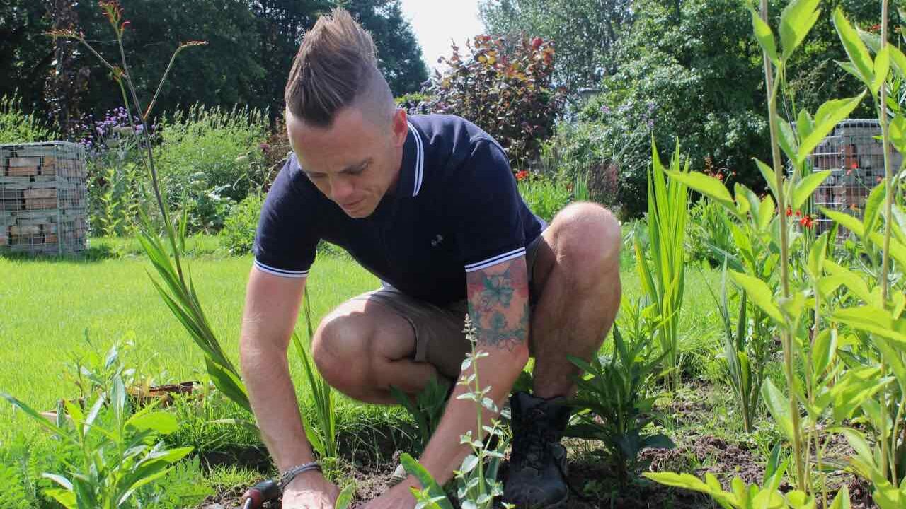 Garden ninja Lee Burkhill planting a border with seedlings